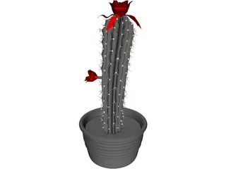 Castus 3D Model preview