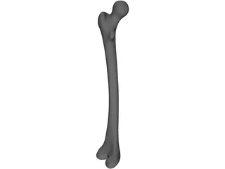 Femur Bone 3D Model preview