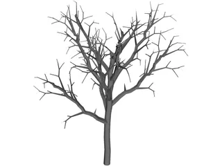 Dead Tree 3D Model preview