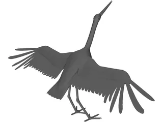 Ciconia Stork 3D Model preview