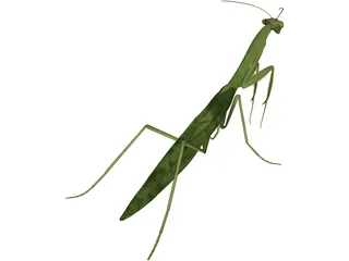 Mantis Praying 3D Model preview
