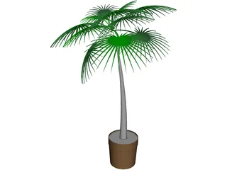Palm Tree Plant 3D Model preview