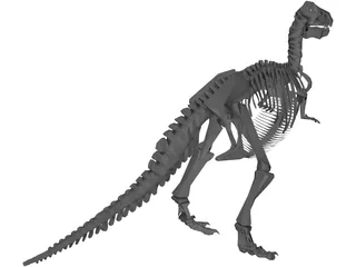 T-Rex Skeleton 3D Model preview