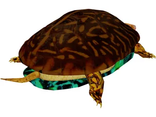 Turtle 3D Model preview