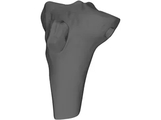 Human Knee 3D Model preview