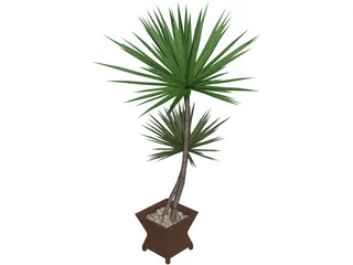 Yucca Plant 3D Model preview