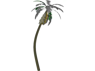 Tree Palm 3D Model preview