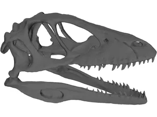 Dinosaur Skull 3D Model preview