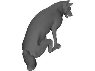 Wolf Sitting 3D Model preview