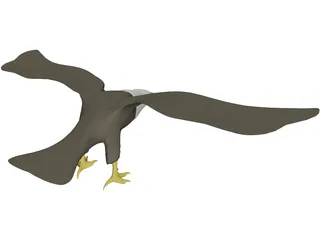 Eagle Bald 3D Model preview