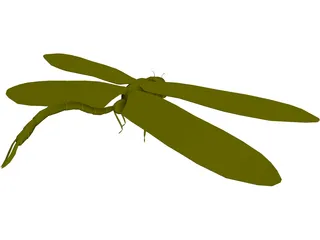 Dragon Fly 3D Model preview