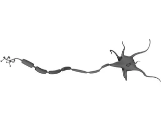 Neuron 3D Model preview