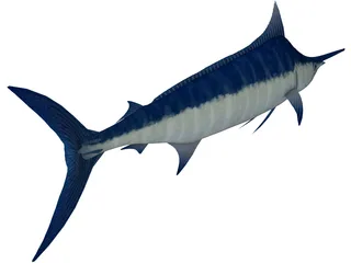 Marlin Blue 3D Model preview