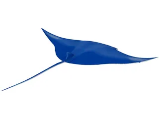 Manta Ray 3D Model preview