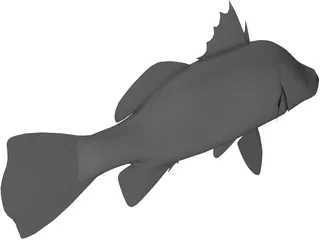 Barramundi 3D Model preview