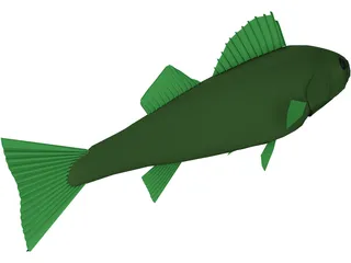 Walleye 3D Model preview