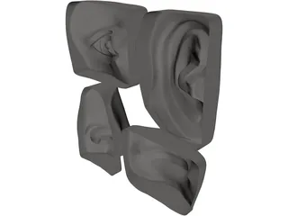 Michelangelo 3D Model preview