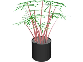 Cyperus Alternifolius 3D Model preview