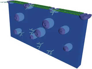 Cell Membrane 3D Model preview