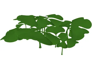 Clover Patch 3D Model preview