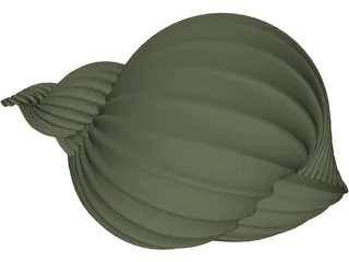 Shell Sea 3D Model preview