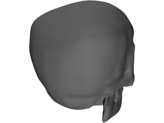Skull Complete with Jaw Bone and Teeth 3D Model preview