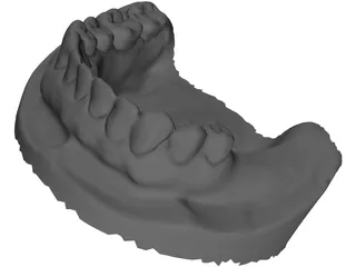 Teeth 3D Scanned 3D Model preview