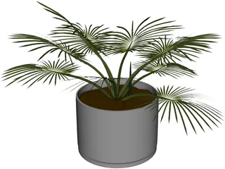 House Plant 3D Model preview