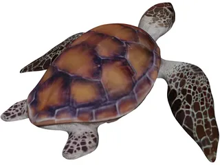 Turtle 3D Model preview