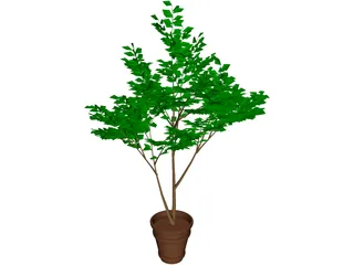 Potted Tree 3D Model preview