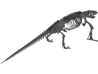 Komodo Dragon Skeleton 3D Model preview