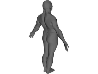 Male Body 3D Model preview
