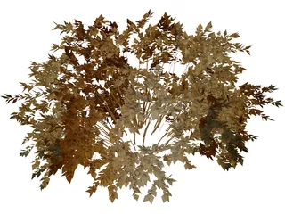 Onyx Bush 3D Model preview