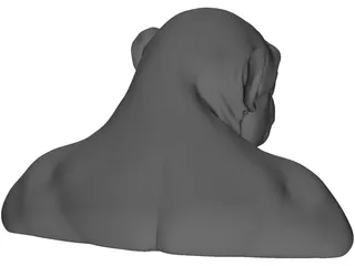 Chimp Head 3D Model preview