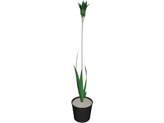 Potted Plant 3D Model preview