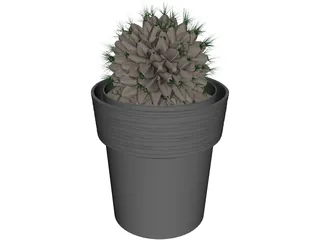 Potted Cactus Plant 3D Model preview