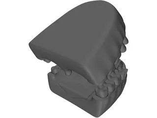 Teeth 3D Model preview