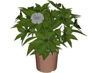 Potted Plant 3D Model preview