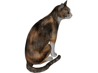 Cat Sitting Red Haired 3D Model preview