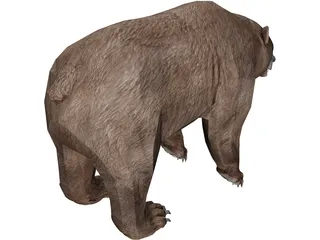 Brown Bear 3D Model preview