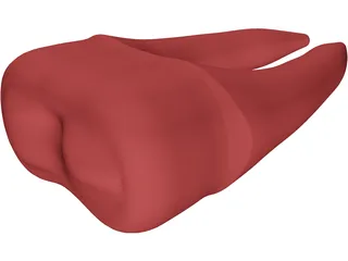 Molar Teeth 3D Model preview