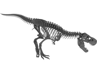 T-Rex Skeleton 3D Model preview