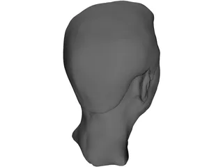 Old Chinaman Head 3D Model preview