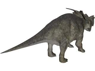 Achelousaurus 3D Model preview