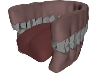 Gums Teeth Tongue 3D Model preview