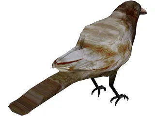 Bangor Crow 3D Model preview