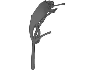 Chameleon 3D Model preview