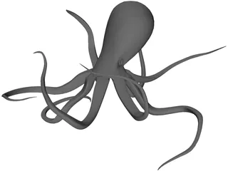 Octopus 3D Model preview