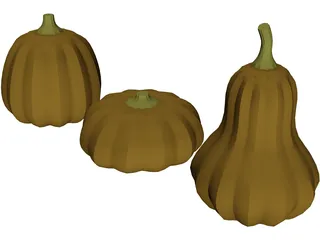 Squash 3D Model preview