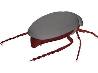 Bug (Meikever In Dutch) 3D Model preview